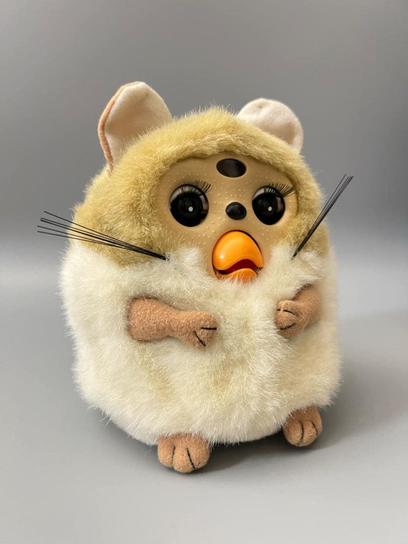 トンクリ☆パパラ2☆ブラウン