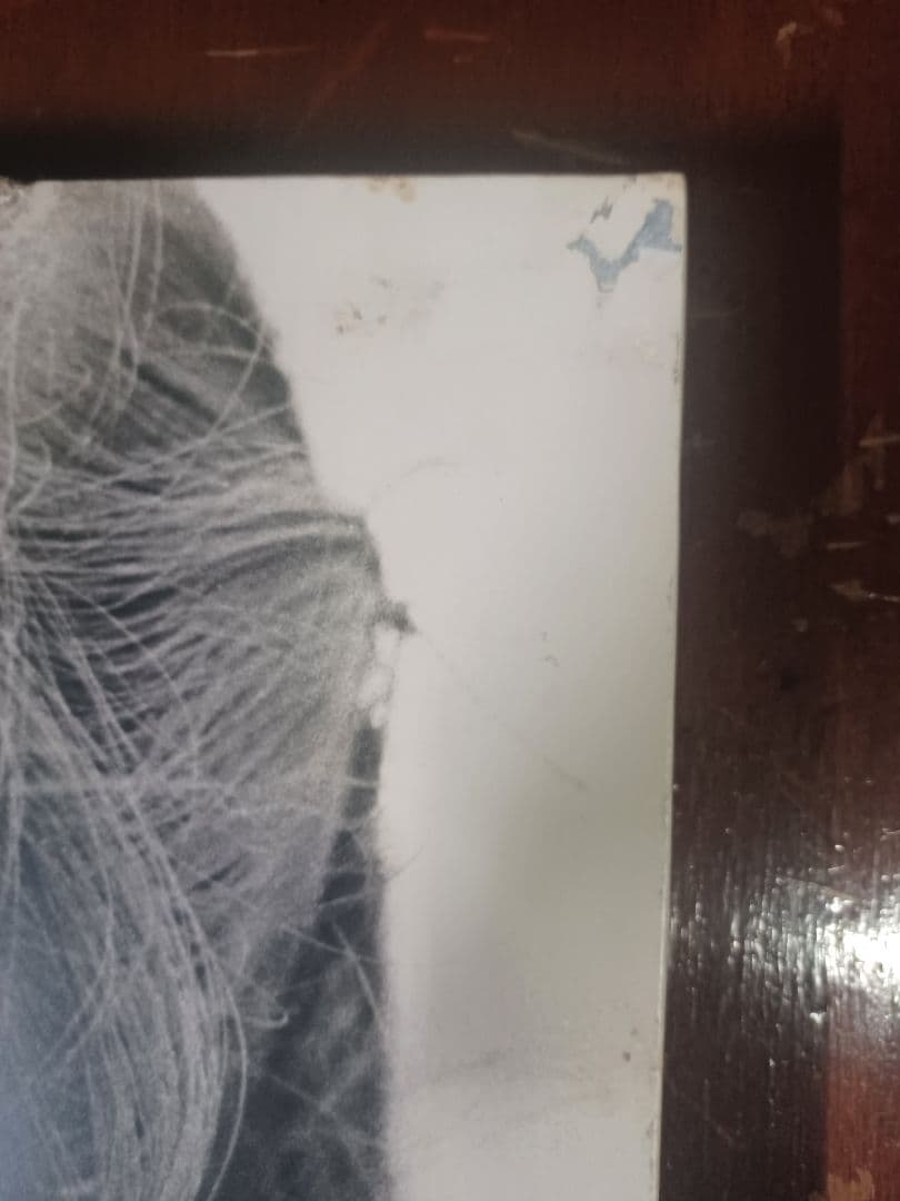 レア商品一点物　志穗美悦子白黒スチール写真非売品木製パネル(435×535)