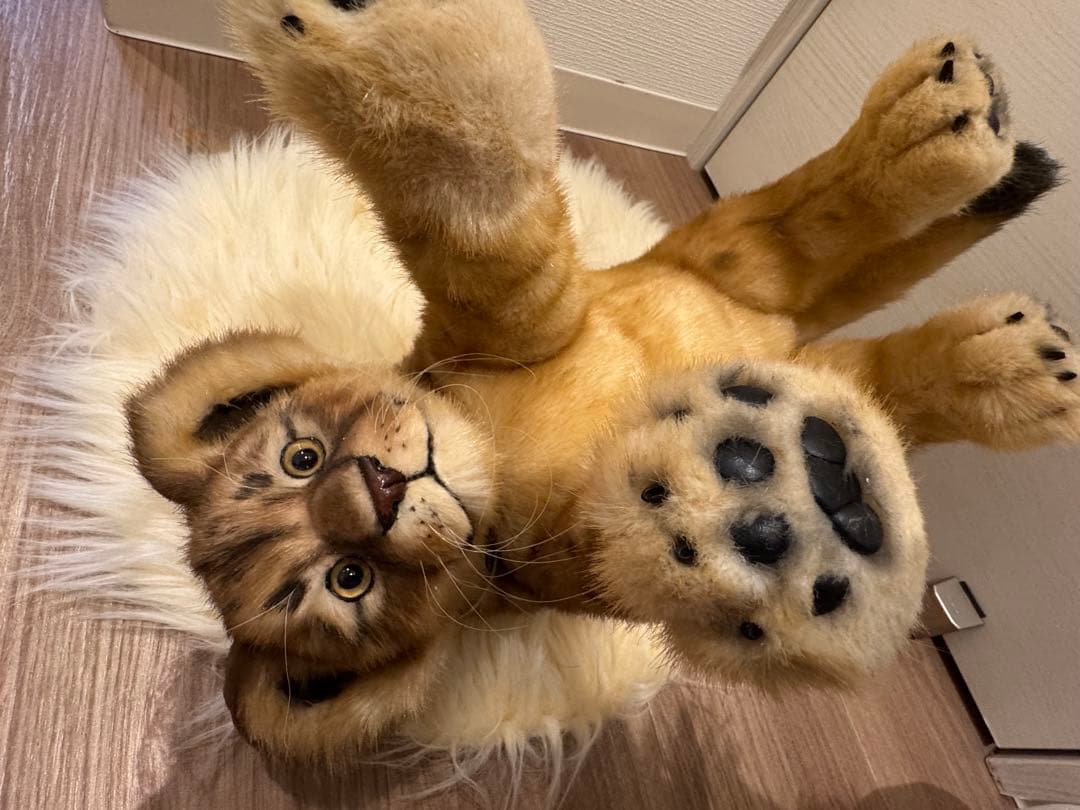 海外作家様作　アートドール　ライオンの子供