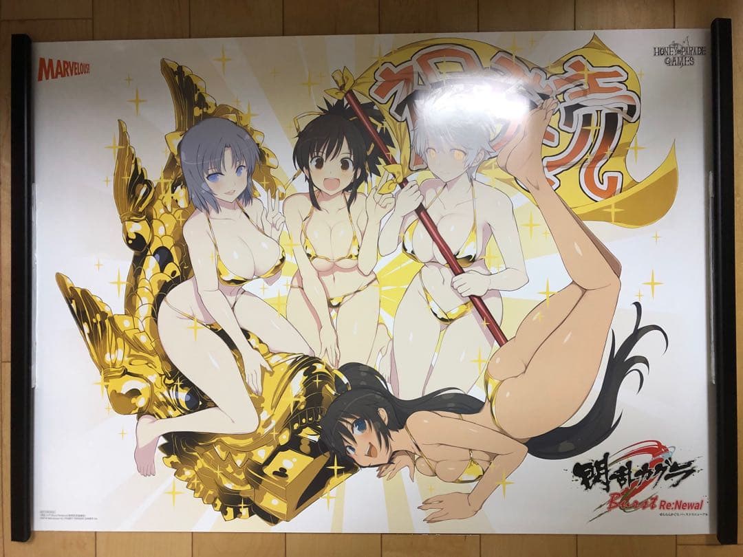 【非売品 当選品】 閃乱カグラ 八重樫南 描き下ろし B2 サイズ ポスター