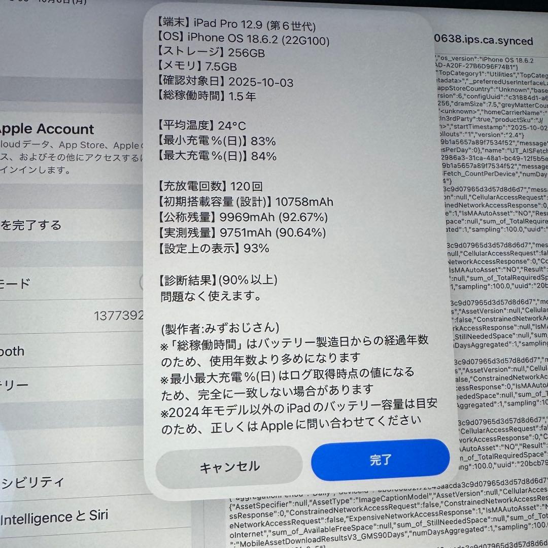 iPad Pro 12.9インチ 第6世代 WiFi 256GB