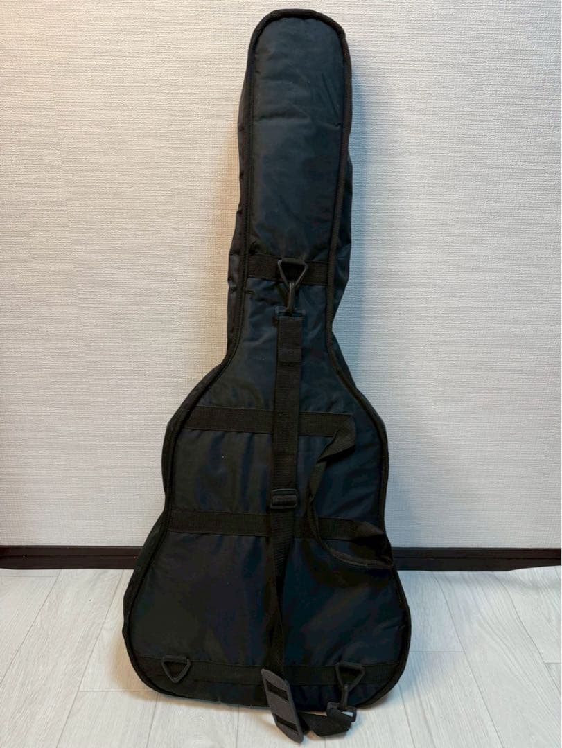Pro Martin アコースティックギター ギターケース付き