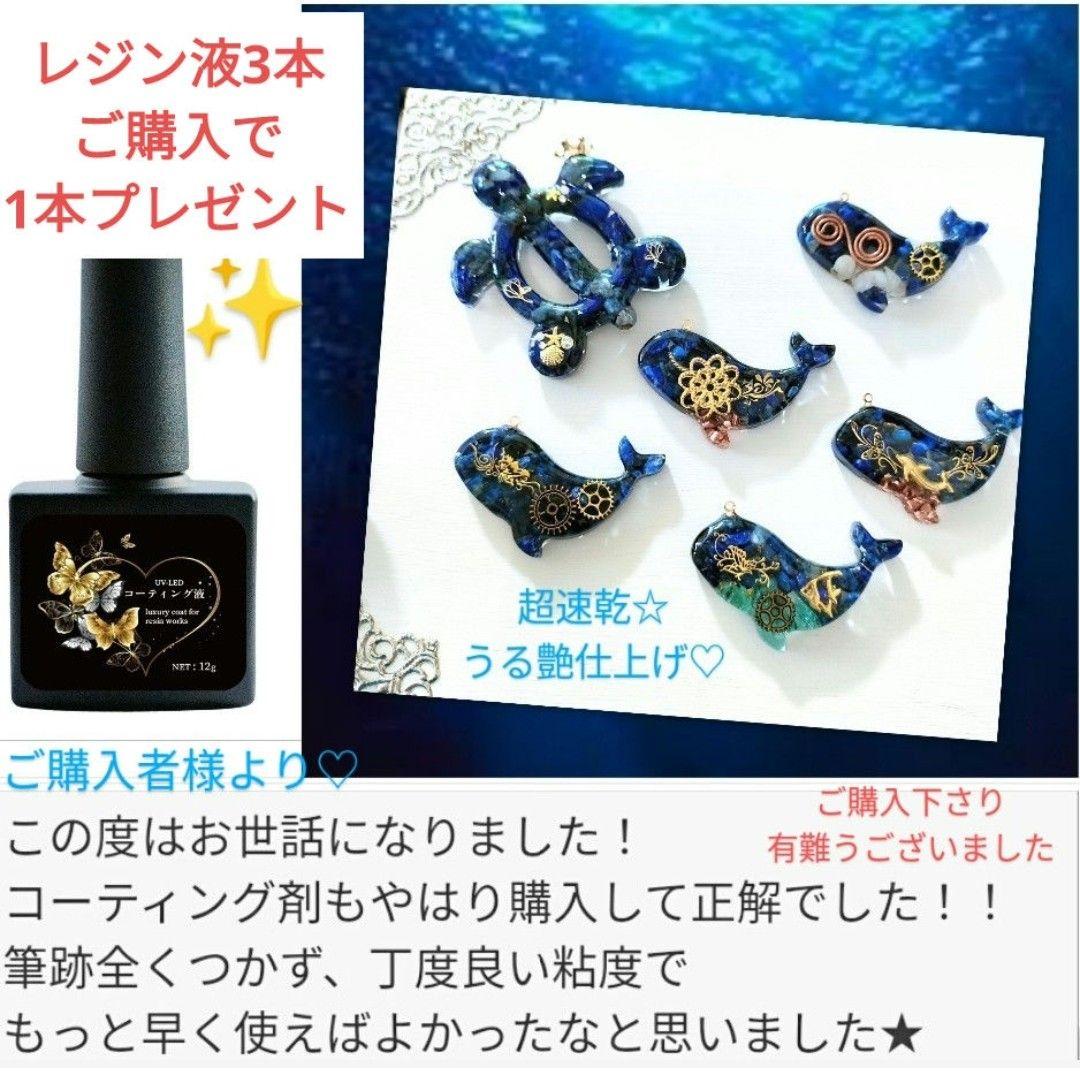 専用レジン液 シエル10本、コーティング剤つき