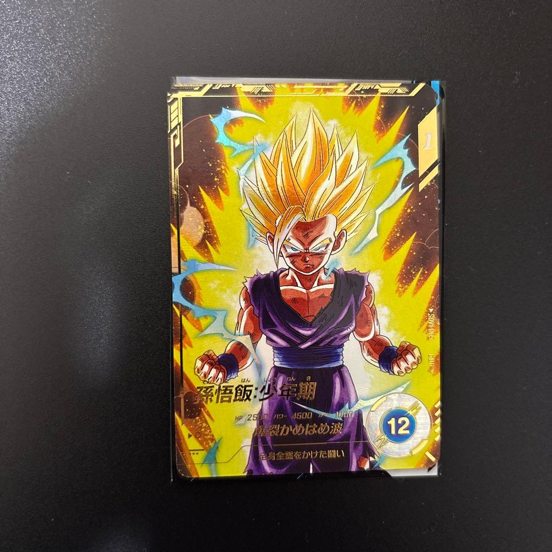 SDV1-005 パラレル 孫悟飯少年期