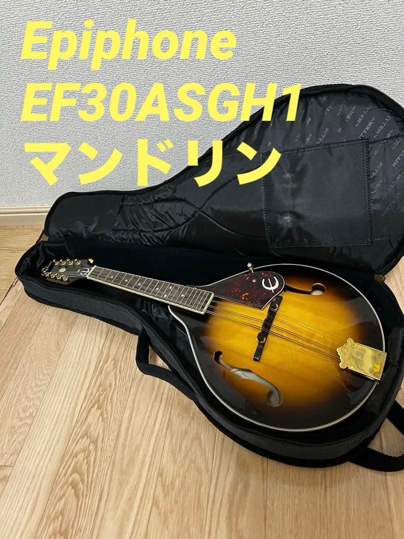 か*ま様 Epiphone EF30ASGH1 マンドリン ケース付