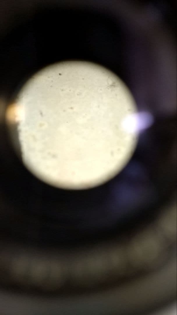 KALLOFLEX 二眼レフカメラ SEIKOSHA-RAPID 75mm