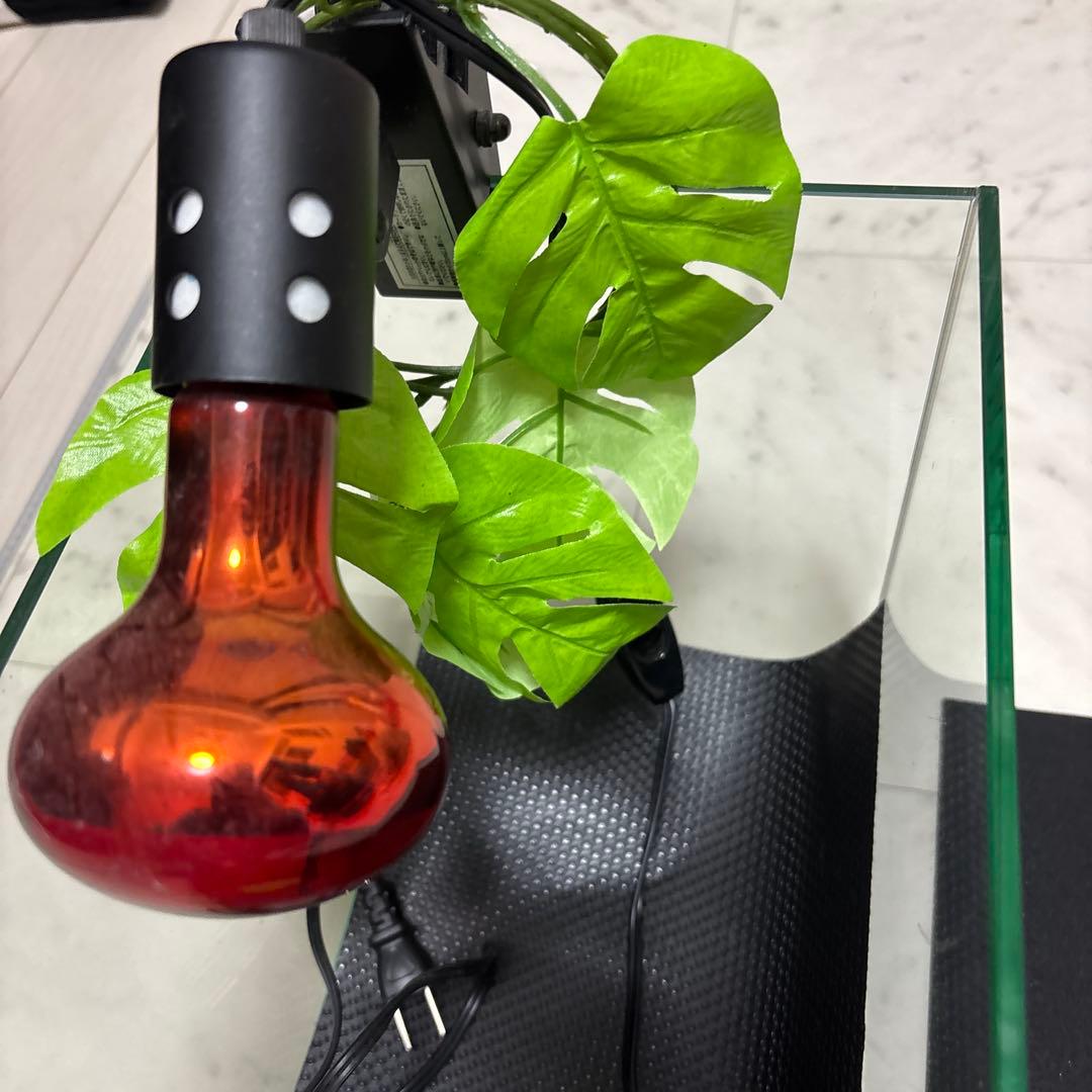 ガラス製飼育ケージ ヒーターランプ付き　爬虫類　飼育セット　リクガメ