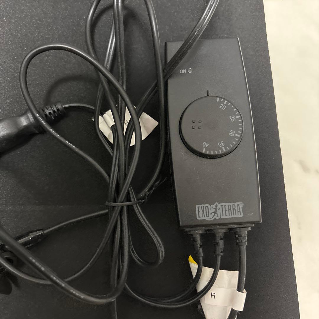 ガラス製飼育ケージ ヒーターランプ付き　爬虫類　飼育セット　リクガメ