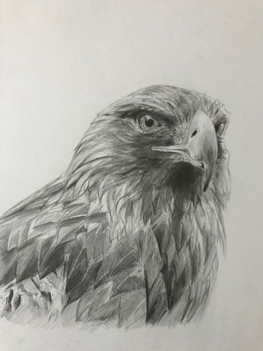 値下げしました！オリジナルのペットの鉛筆画