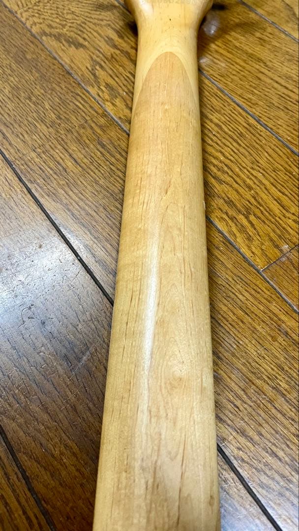 値下げ！Pignose ピグノーズPGG-200 アンプ内蔵型のミニエレキギター