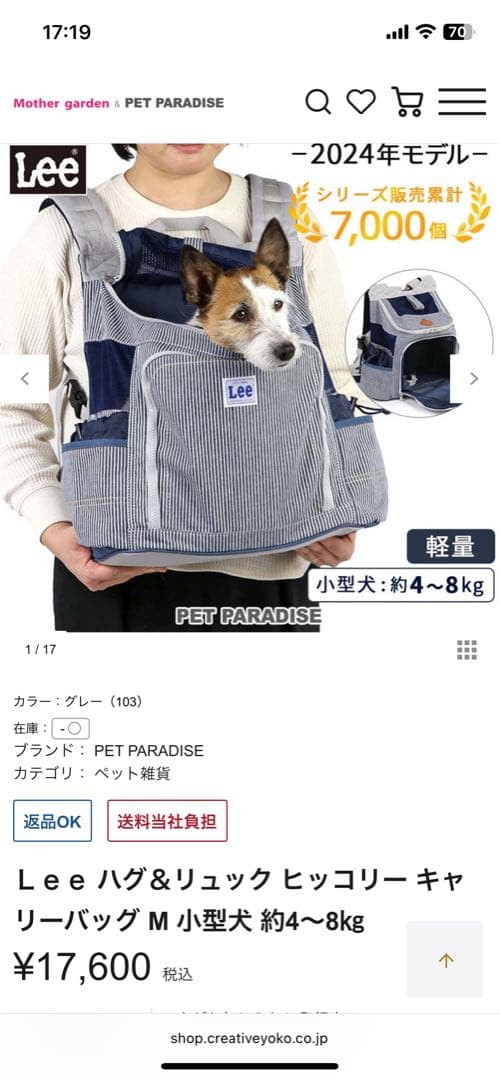 Lee ストライプ キャリーバッグ　【美品】