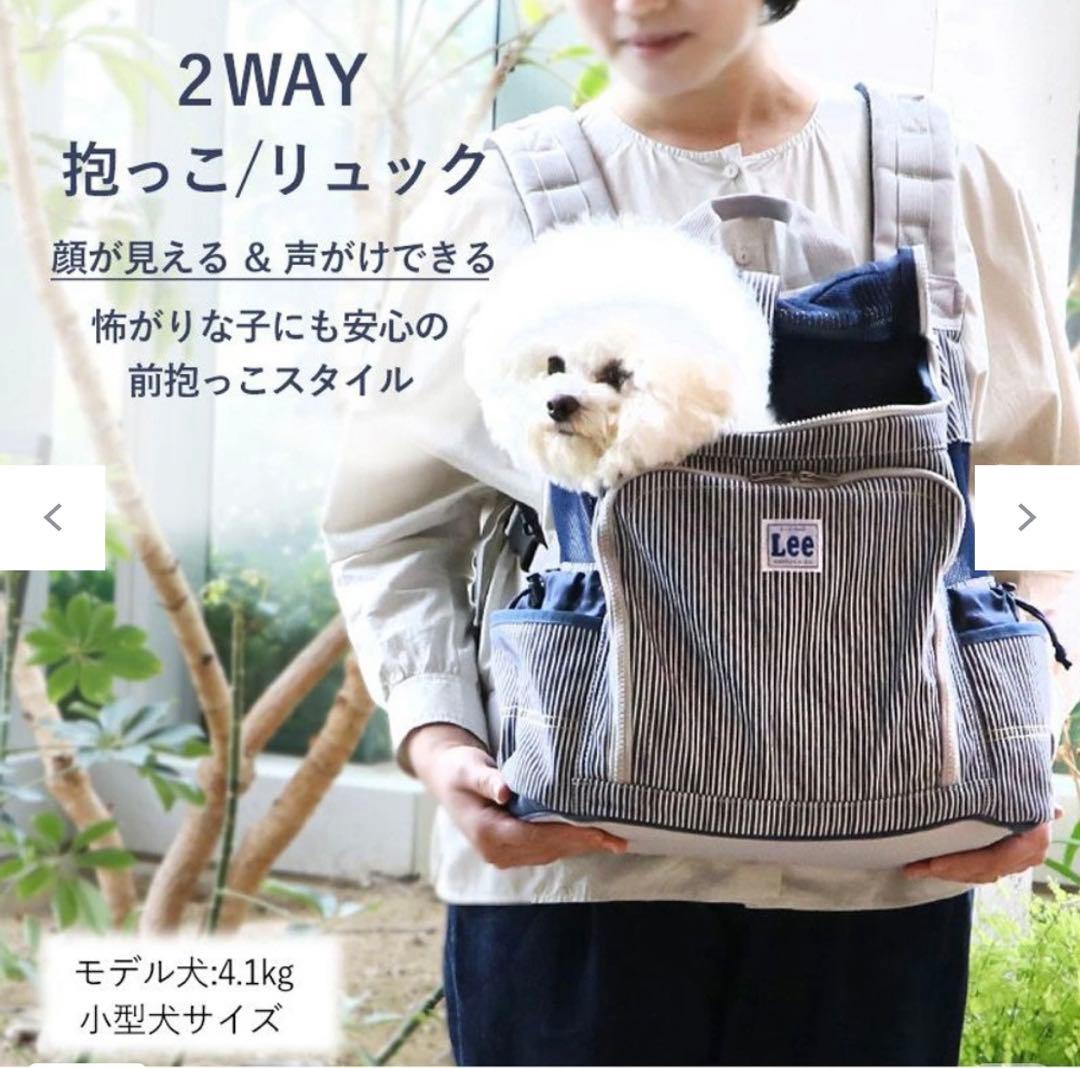 Lee ストライプ キャリーバッグ　【美品】