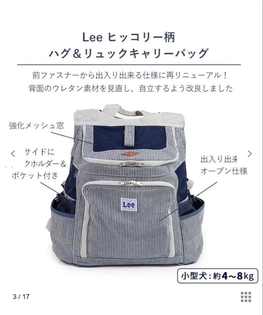 Lee ストライプ キャリーバッグ　【美品】