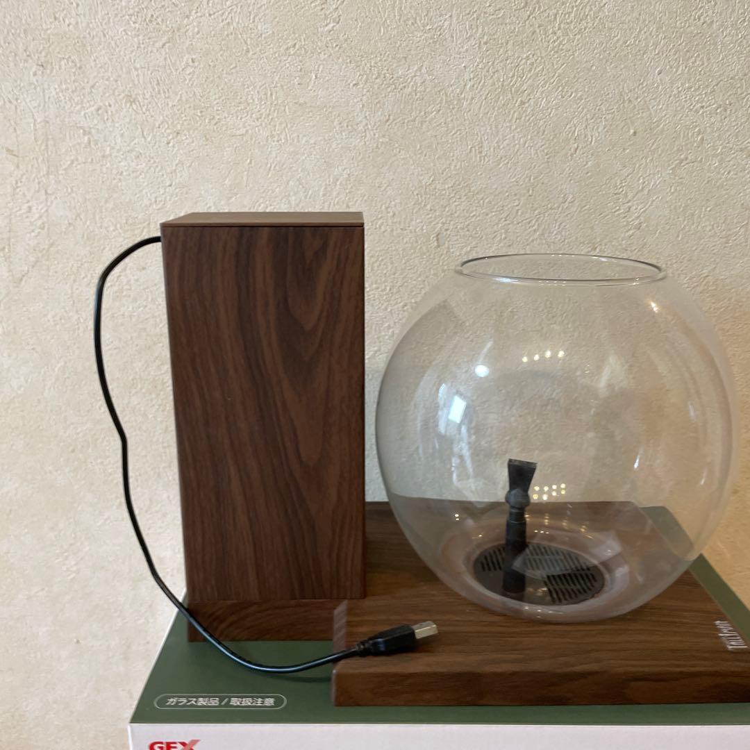 GEX GLASS AQUA PERCO ガラス水槽セット