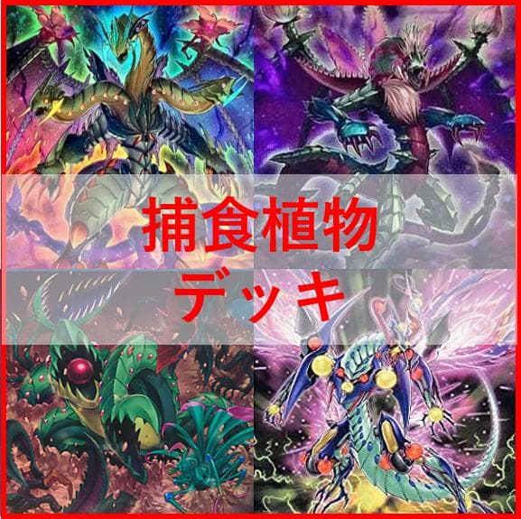 遊戯王　デッキ　捕食植物　プレデター・プランツ　スターヴ　[04570]