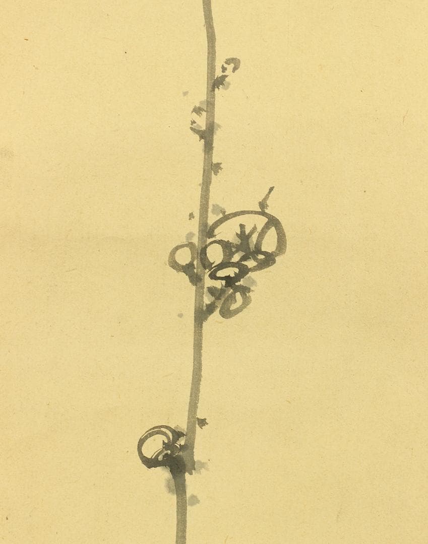 蘭斎 梅図 掛軸 肉筆 紙本