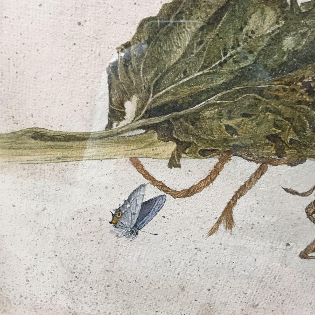 織田 阿奴 作  水彩画