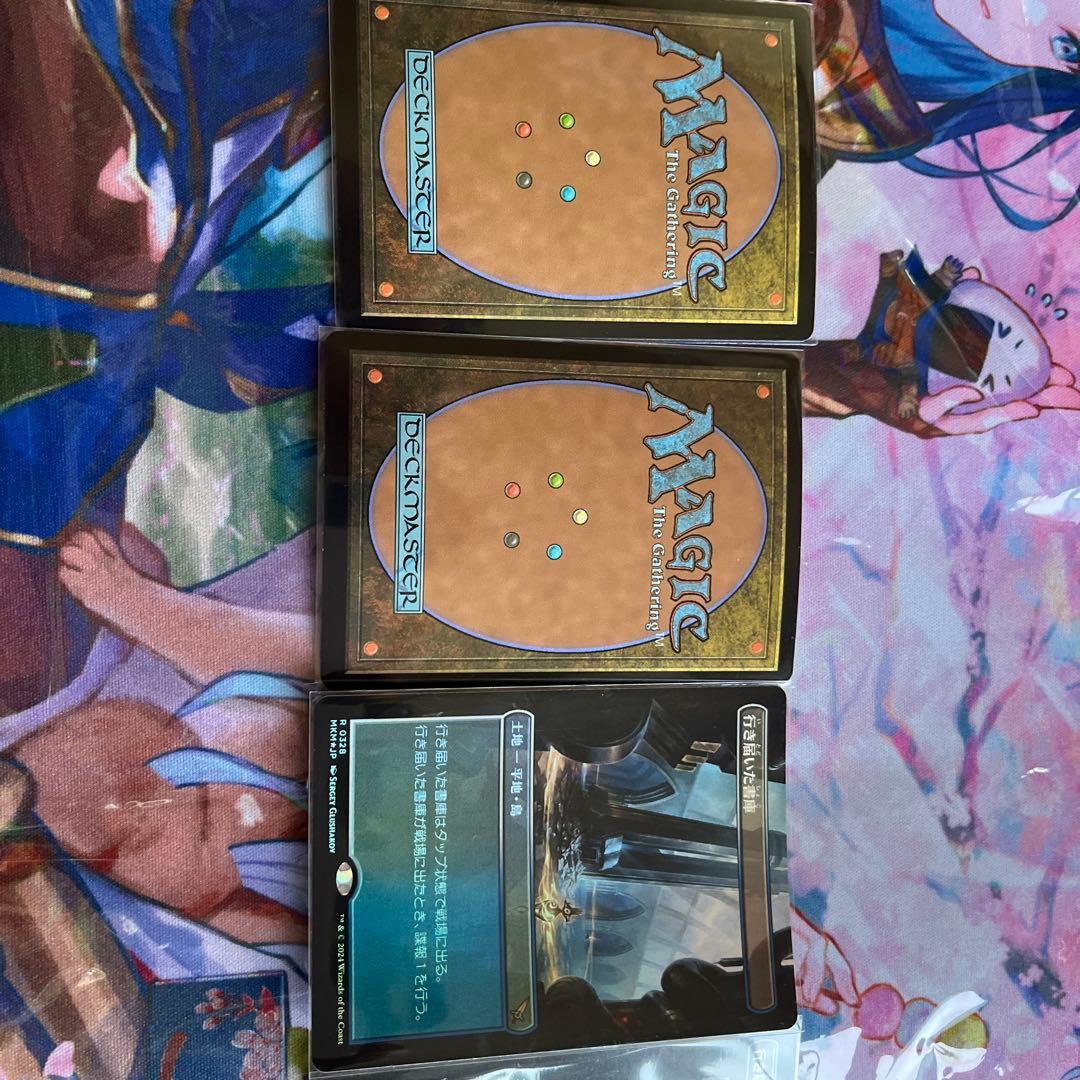 行き届いた書庫foil 4枚