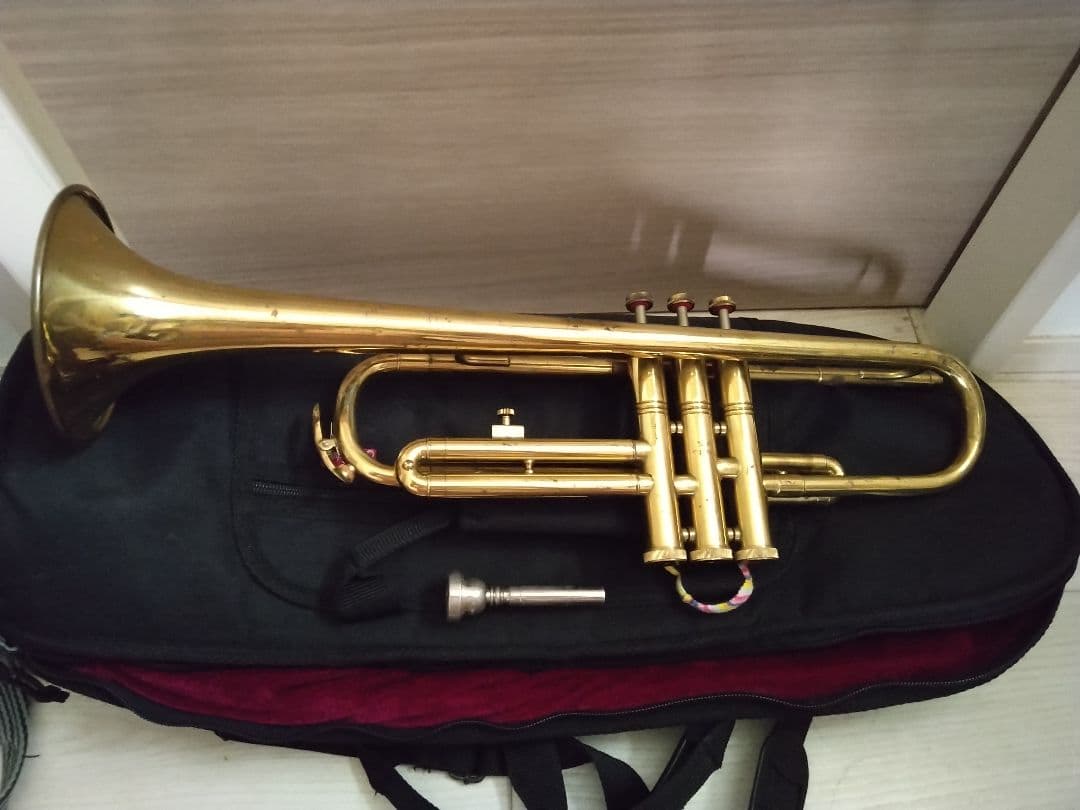 【最終価格・即戦力】TOKAN トランペット マウスピース、専用バッグ付