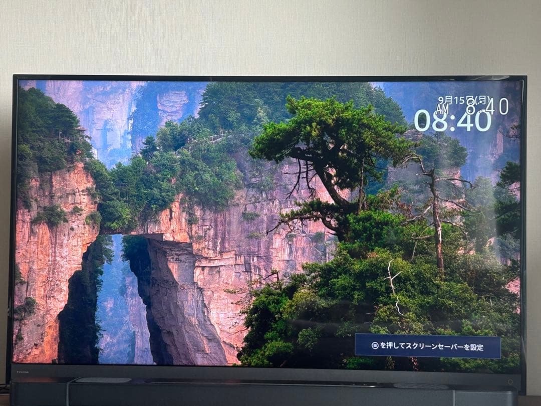 ★ばぶ★TOSHIBA東芝 REGZA 58V型 4K 58M500X