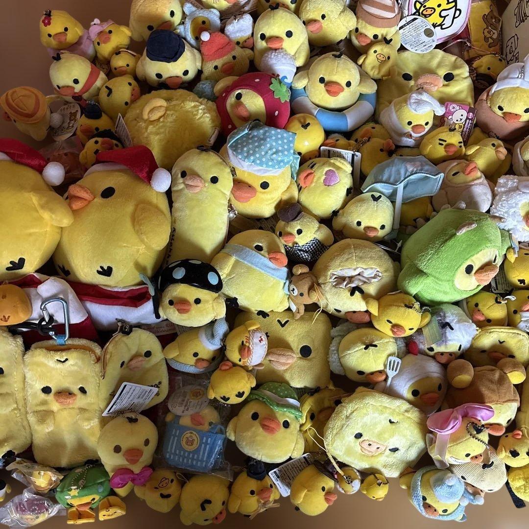 キイロイトリまとめ売り