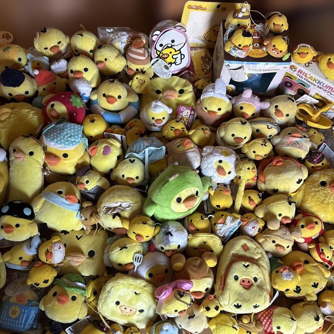 キイロイトリまとめ売り