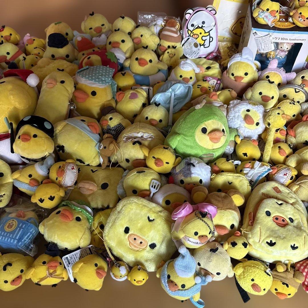 キイロイトリまとめ売り