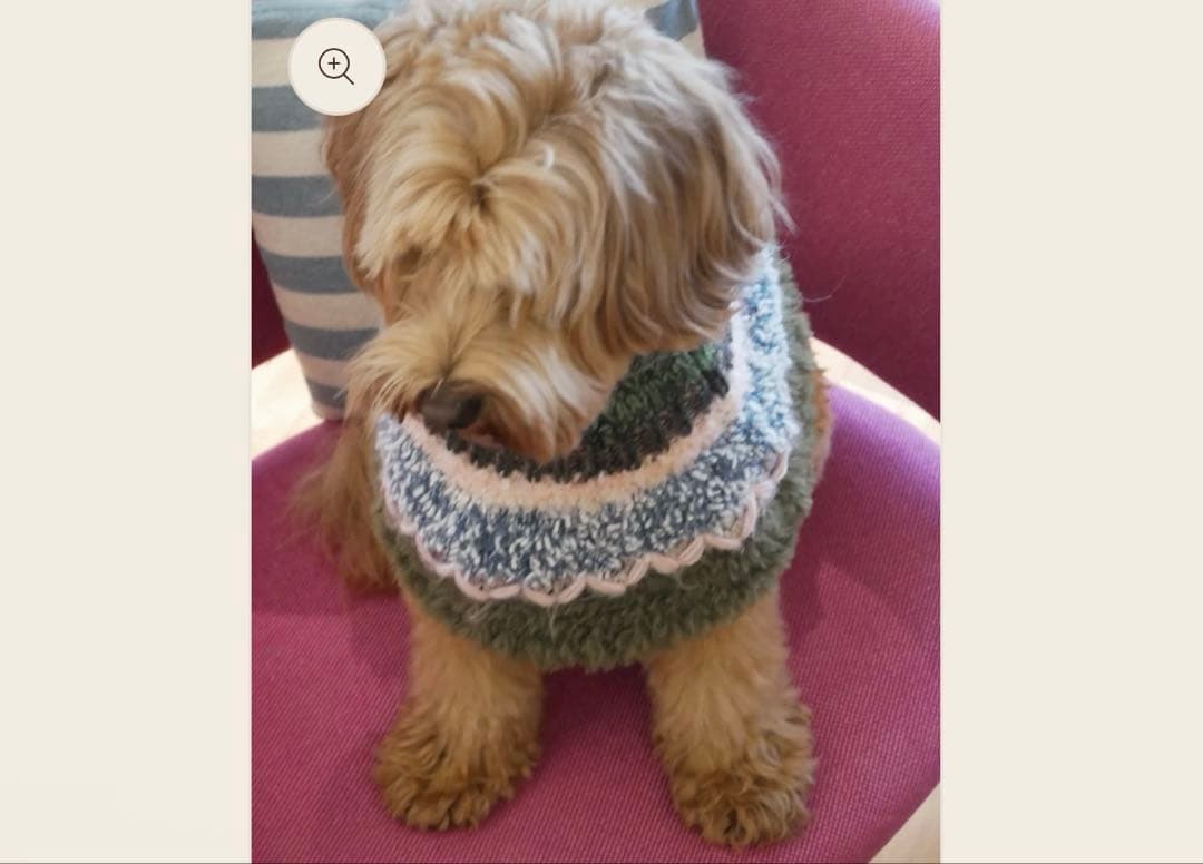 【完売品】multi × mellowbear ニットポンチョ