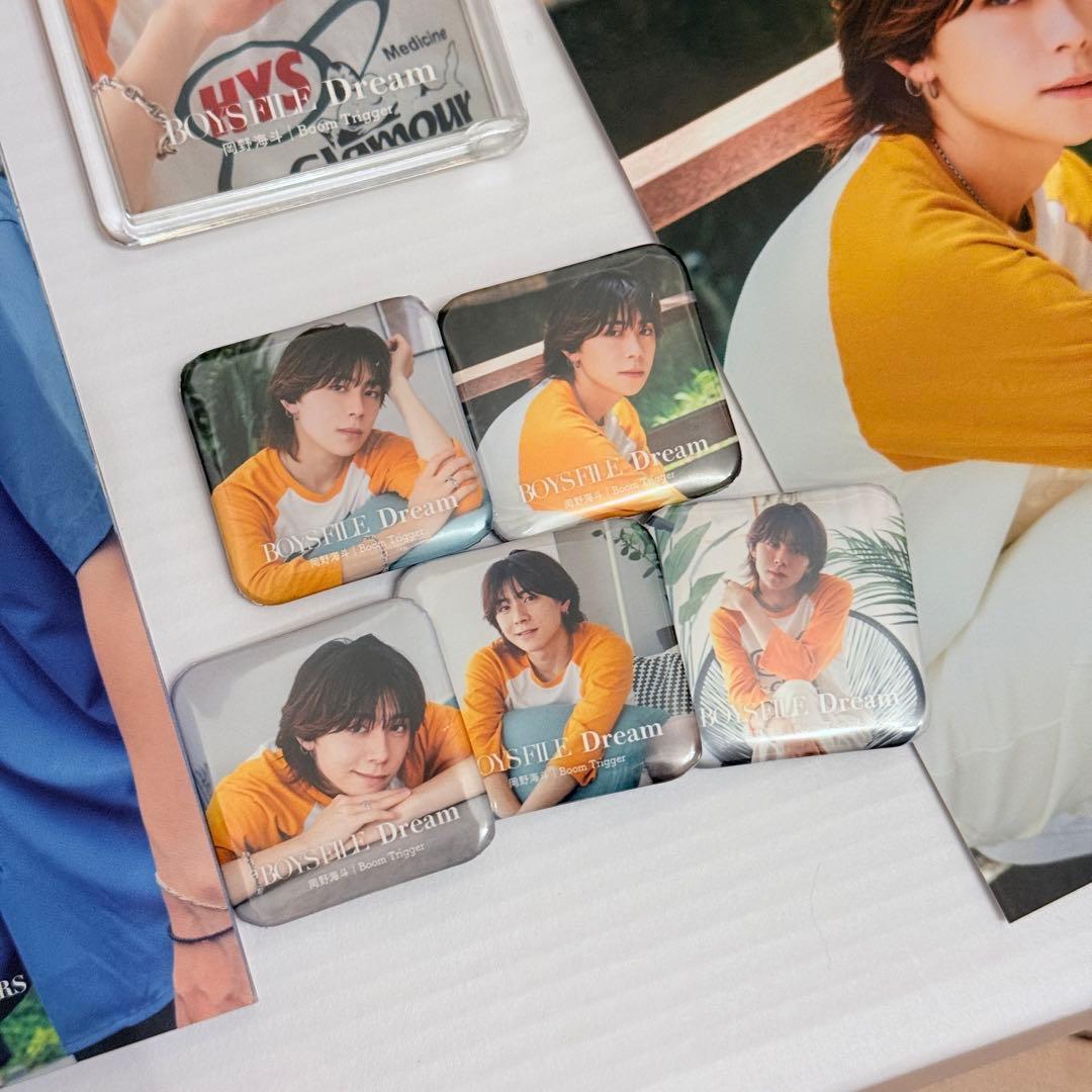 BOYS FILE Dream Vol.10 岡野海斗セット