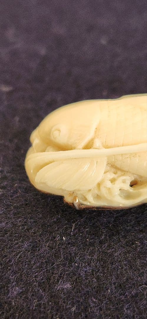 帯留め‥白珊瑚