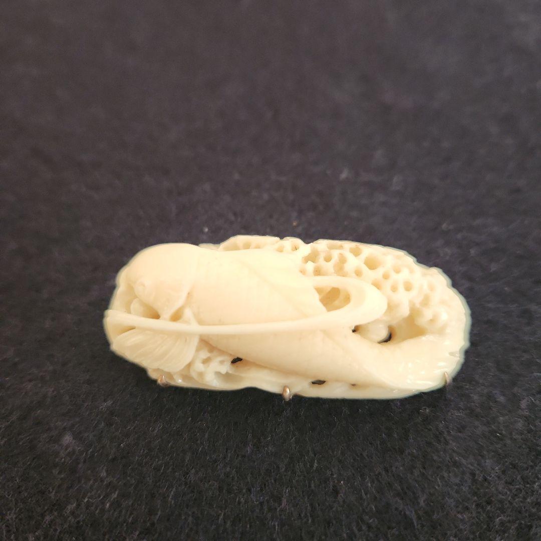 帯留め‥白珊瑚