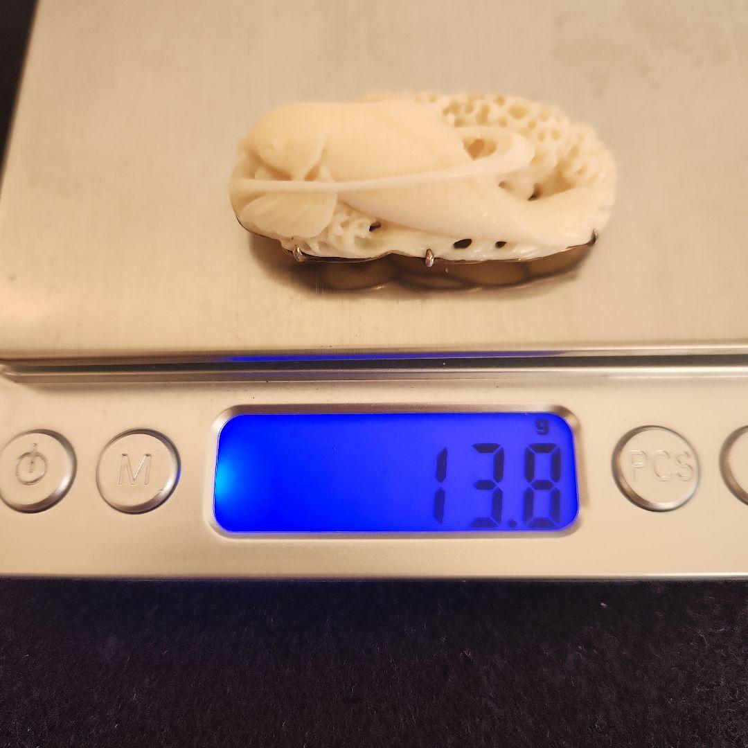 帯留め‥白珊瑚