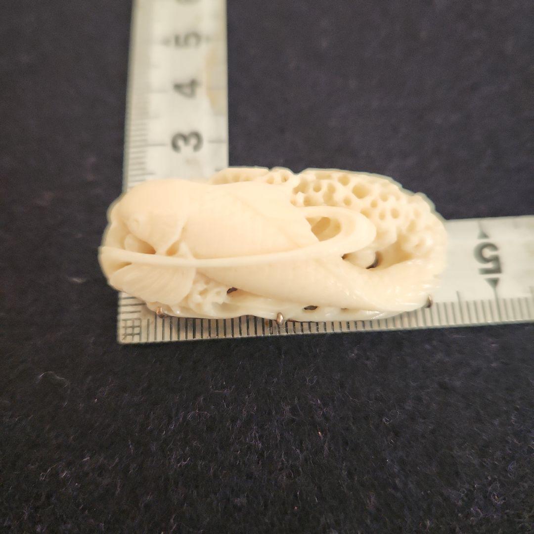 帯留め‥白珊瑚