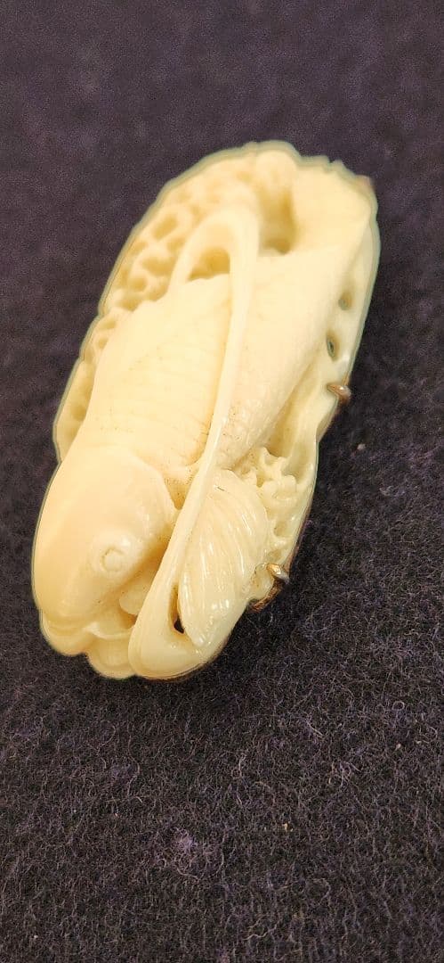 帯留め‥白珊瑚