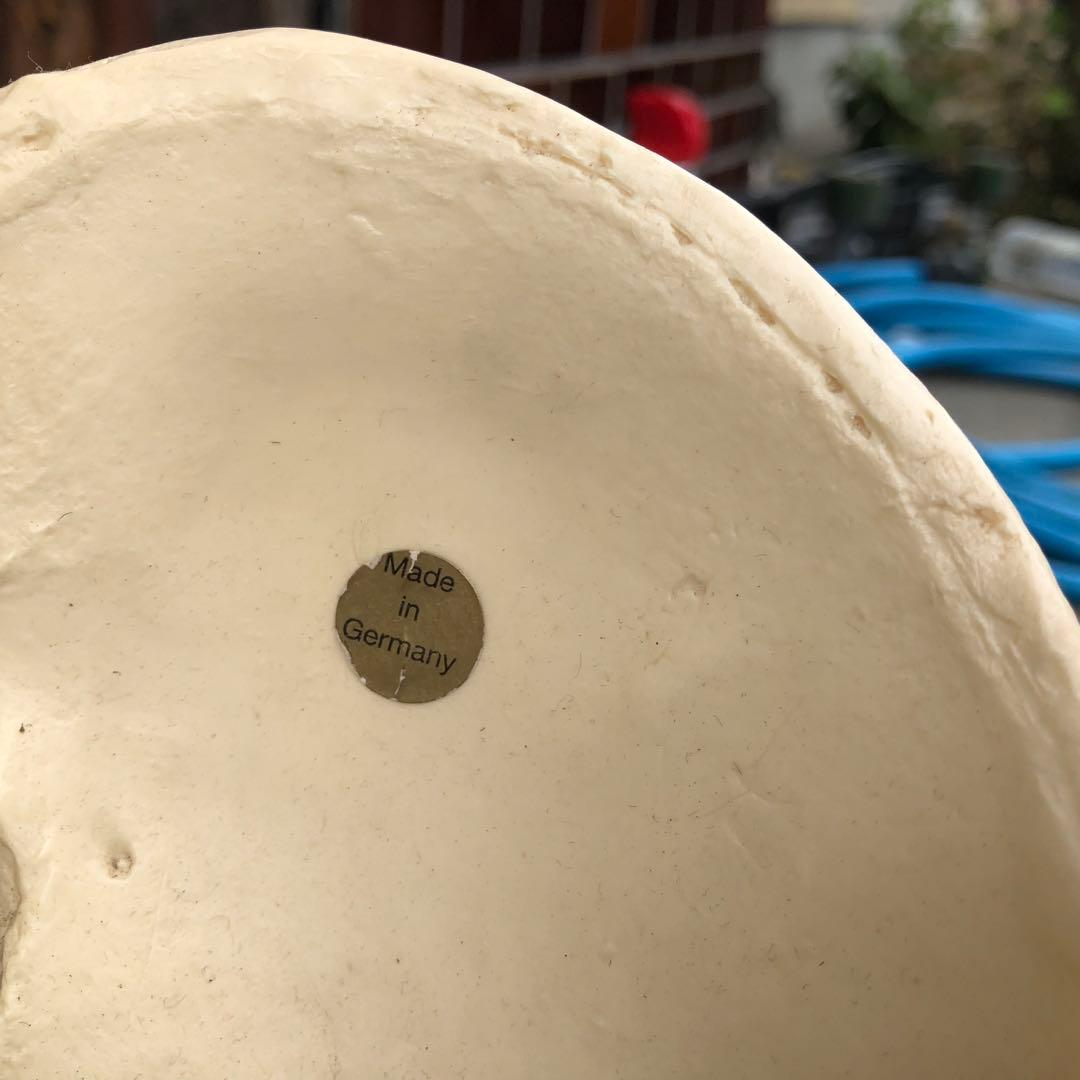 3B 脊椎模型 人体模型 スタンド付 骨格標本　骨盤　ドイツ製