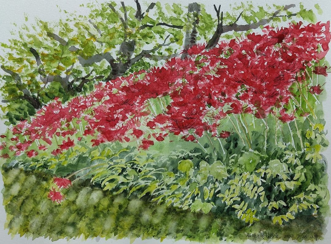 石垣と曼珠沙華 (彼岸花)