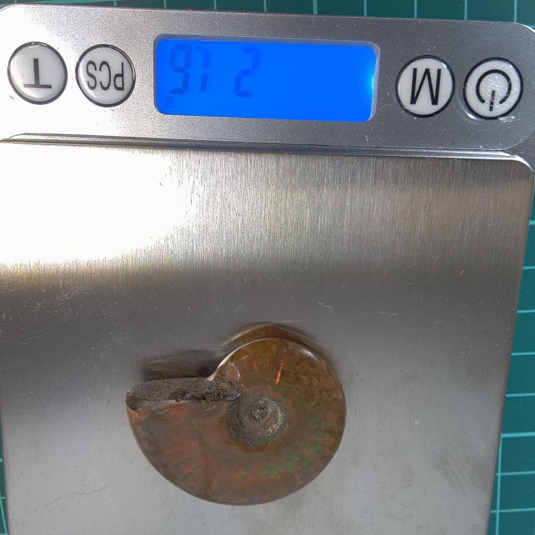 小物１ オレンジ色 アンモナイト化石