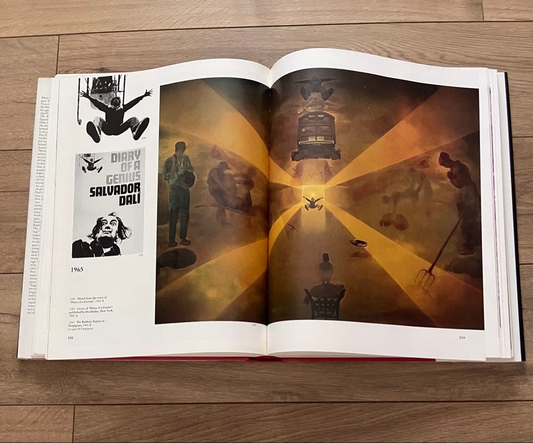 DALÍ The Paintings ダリ 画集全2巻