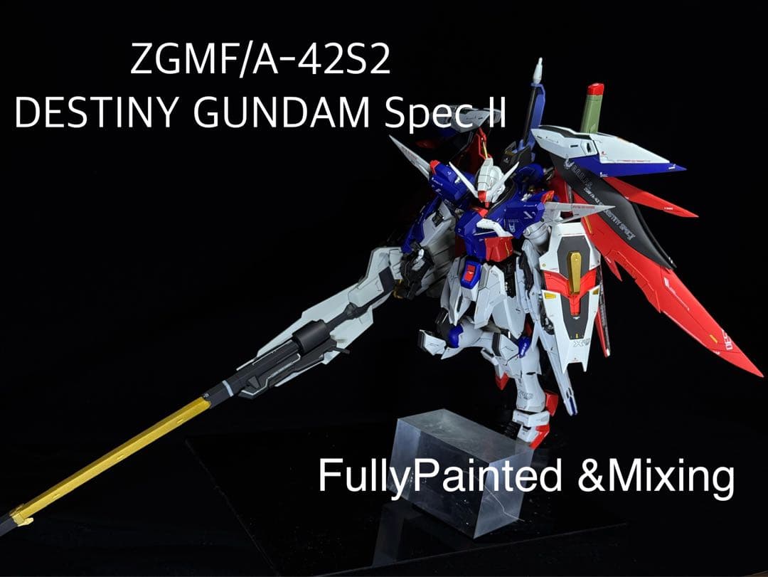 ゆ*】様 【ミキシング全塗装】MG デスティニーガンダム SpecⅡ