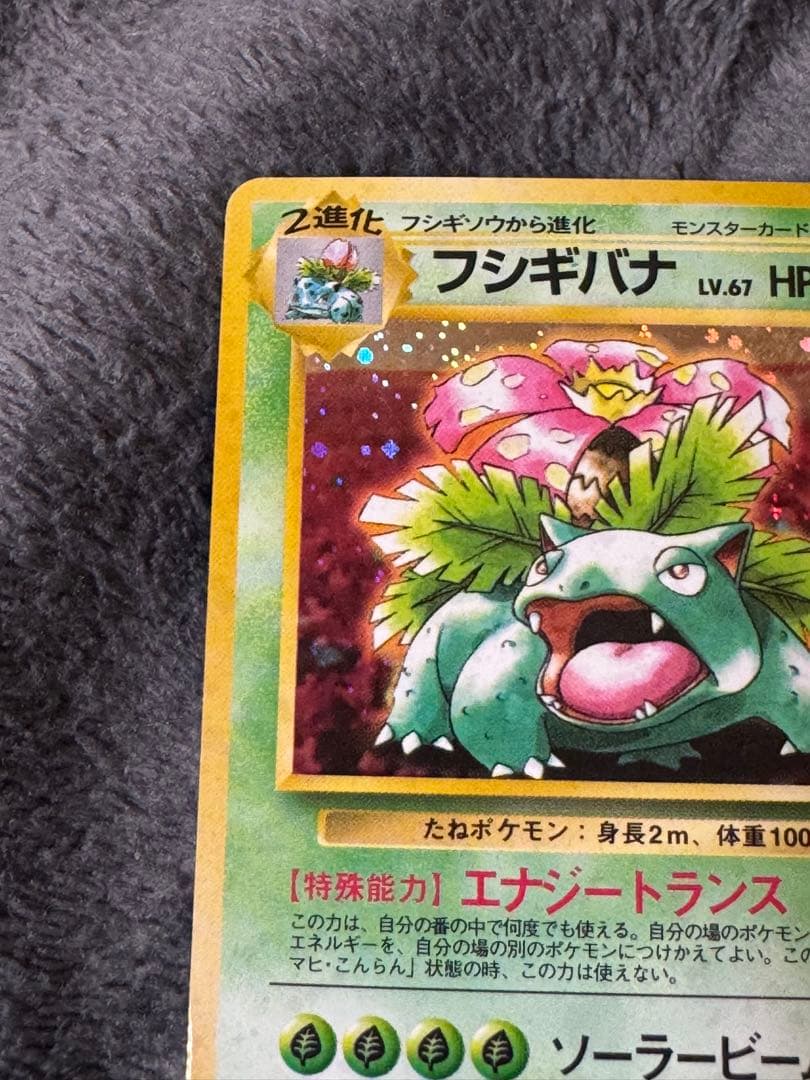 旧裏　ポケモンカード　イントロパック　フシギバナ