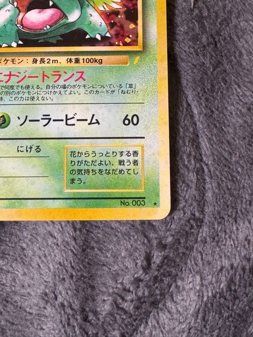 旧裏　ポケモンカード　イントロパック　フシギバナ