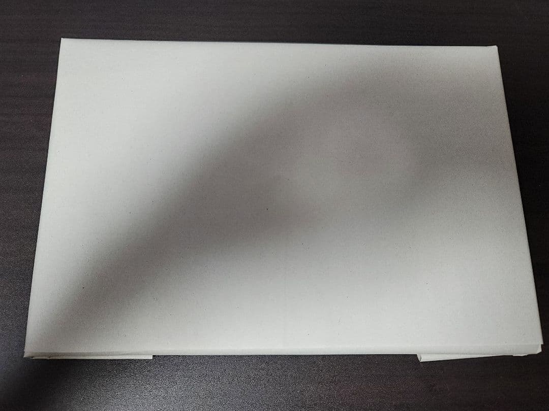 遊戯王　カオスソルジャー プリズマ 3000枚　 当選品　プリシク