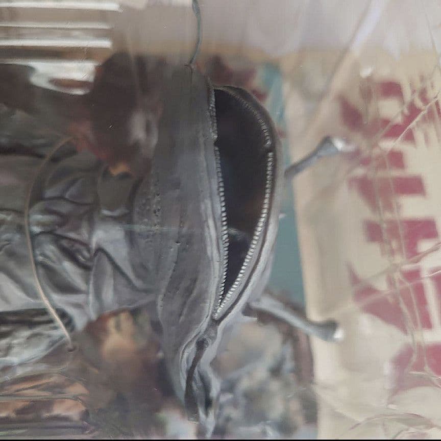 未開封　大怪獣シリーズ　カネゴン　モノクロ　ウルトラQ