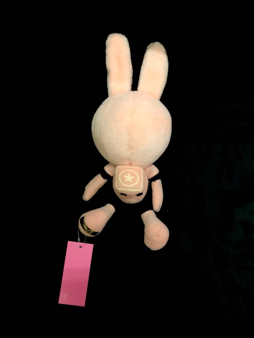 【新品入荷♪激レア！】20471120 うさぎHyoma soft toys♪