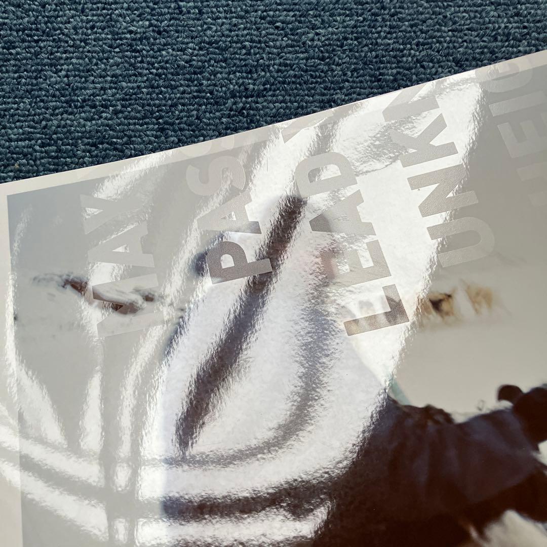 石川直樹　オリジナルプリント額　type-cプリント