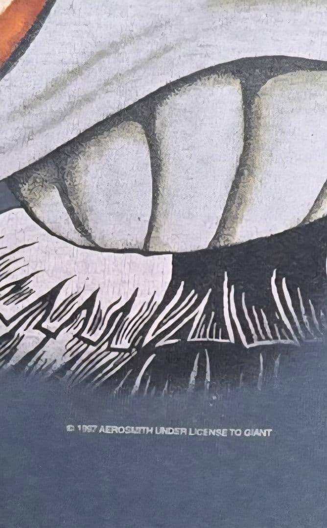 90s AEROSMITH エアロスミス ワールドツアー Tシャツ Murina