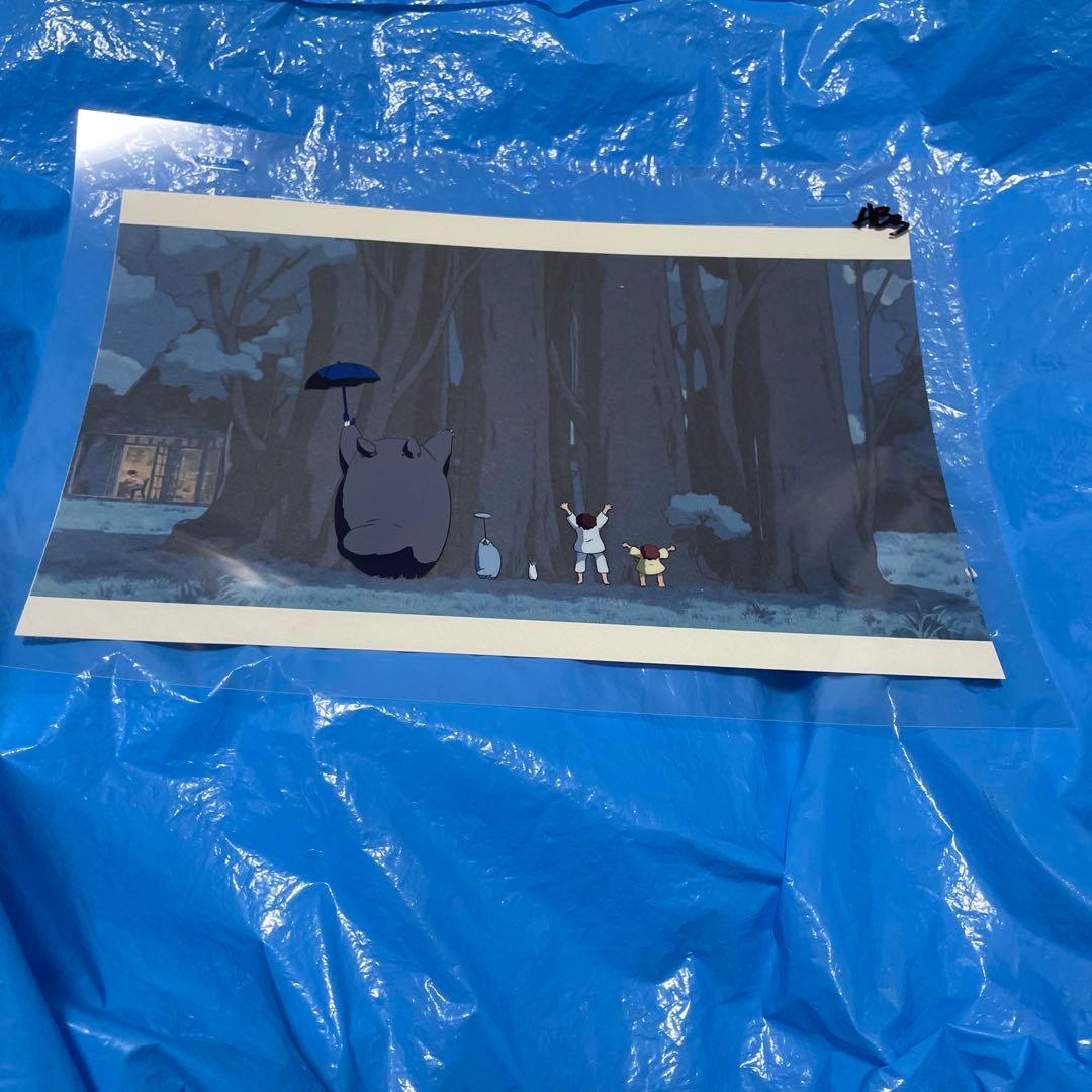 となりのトトロ