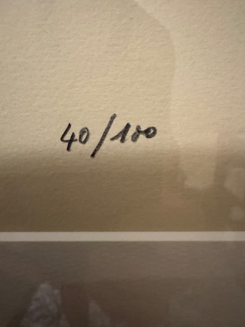 大塚家具購入　リトグラフ　J. Plo 魚の絵画 40/180