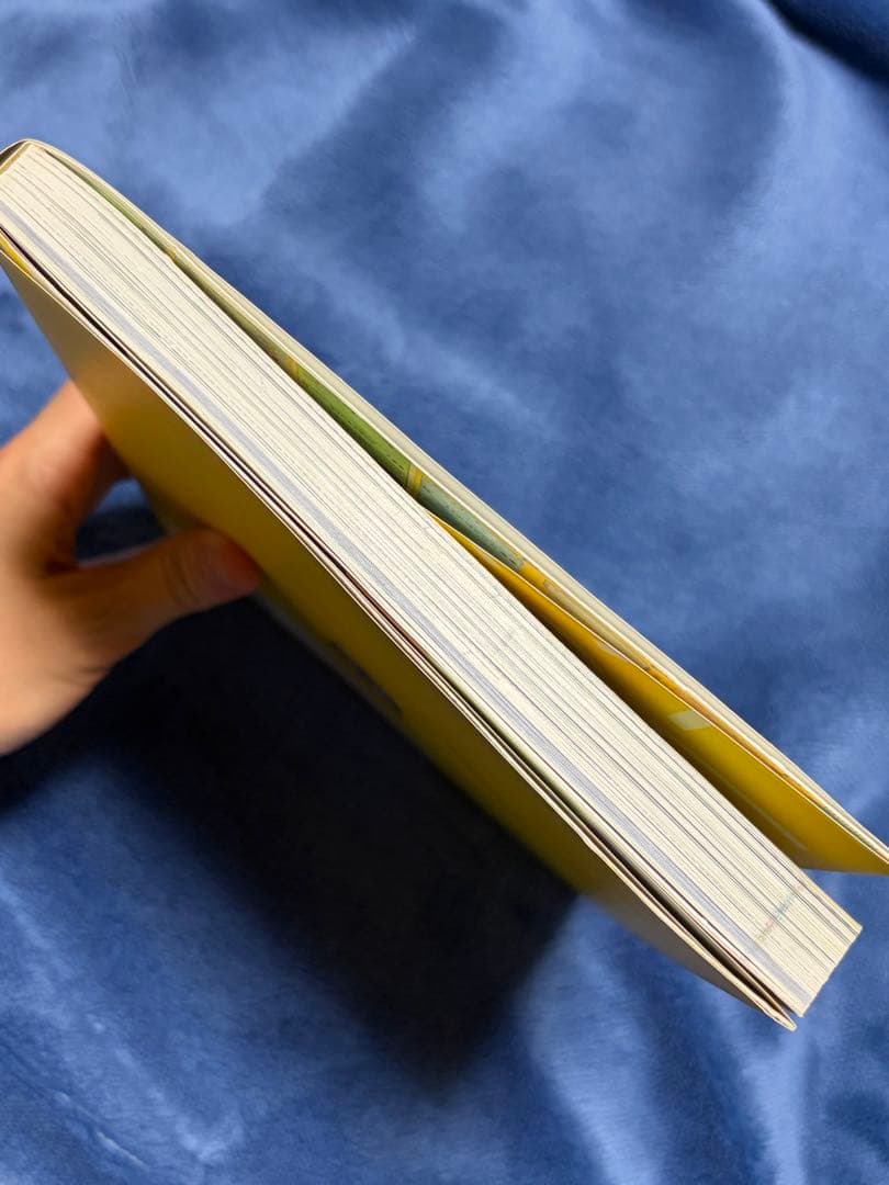 ポケモンカードゲームイラストコレクション　帯なし　プロモカード未開封