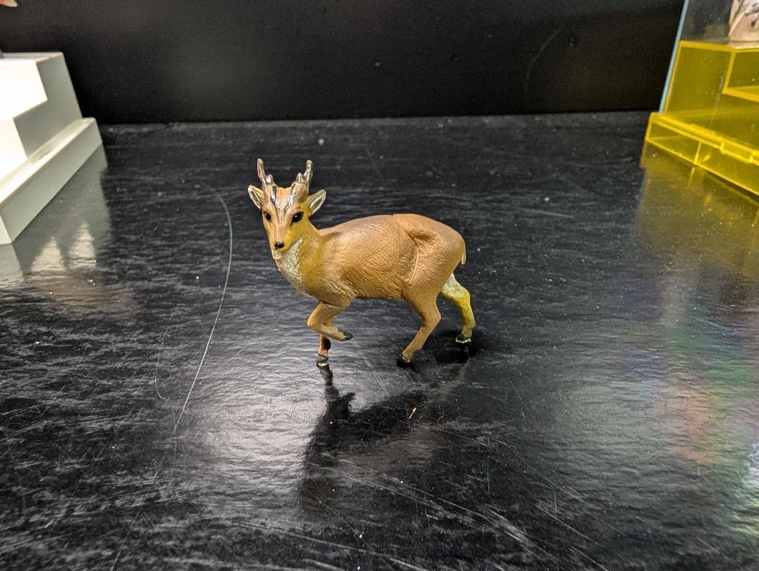 チョコQ 　日本の動物7 全23種＋シークレット3種＋シークレット＋1